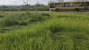 Совсем чуть-чуть и ни о чем....