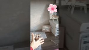 Рум-тур по моей комнате...❤ #новый блогер