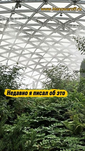 Скриншоты из жизни