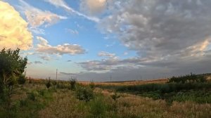 Наталья Губарева. В ТАКОЙ КРАСОТЕ МЫ ЖИВЕМ 😍 ЖИЗНЬ В ДЕРЕВНЕ #villagelife