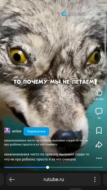 брат