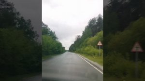 Иҙел Нурғәлин - Бәхет ҡошо