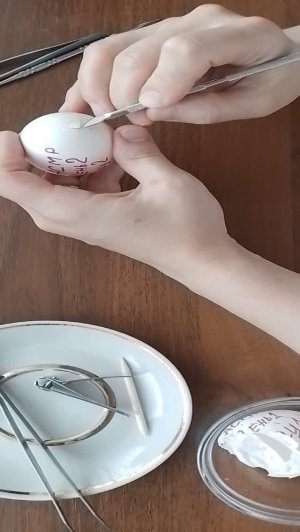 Релакс, очистка сырых яиц, день 2