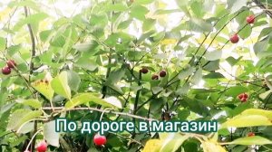 По дороге в магазин🤩
