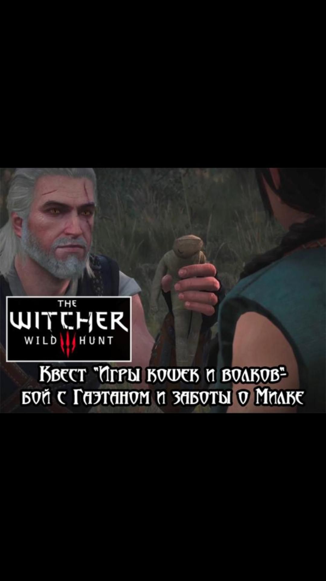 Бой с Гаэтаном и помощь Милке- квест "Игры кошек и волков" | #witcher3 #games #rpg