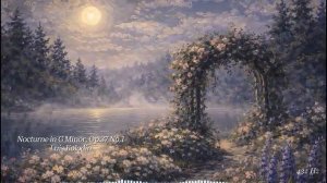 Ноктюрны Фредерика Шопена. Слушать классическую музыку