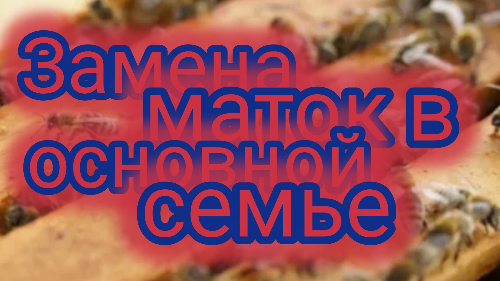 Замена маток в основной семье 🐝 смотреть онлайн