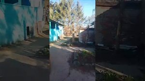 Утро на селе 8.05.26
