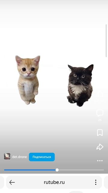 брат