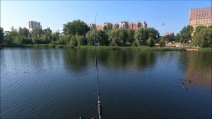 Точка Лова. Снова за карасём на городское озеро.