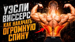 Уэсли Виссерс как качать спину