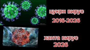 цукрн вирус и ханта вирус