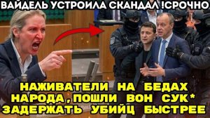 ВАЙДЕЛЬ РАЗМАЗАЛА МЕРЦА И ЗЕЛЕНСКОГО: «Вы ничтожества, торгующие нашей кровью!»