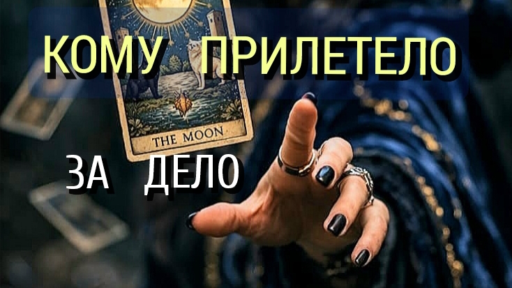 КОМУ  ПРИЛЕТЕЛО 🪃 ЗА   ДЕЛО