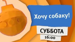 Полный желтый анонс хочу собаку карусель лето 2015