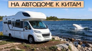 Доехали на автодоме до БЕЛЫХ КИТОВ! Глэмпинг Дом белых китов