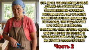 Истории из жизни|Все лето копала|Аудио рассказы|Аудиокниги слушать онлайн|Жизненные истории