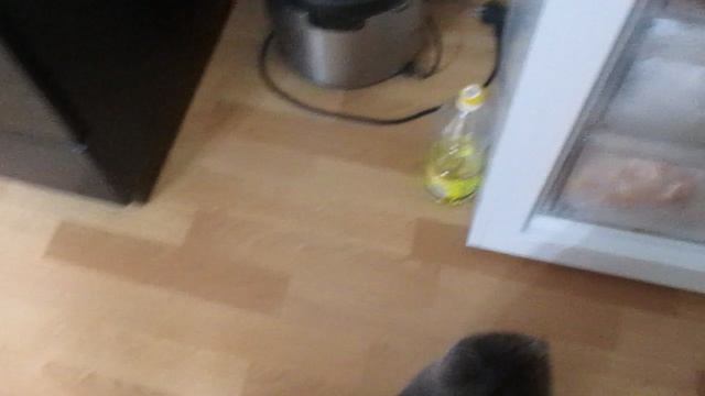 MVI_0842 11.07.2026 смотреть онлайн