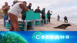 «Сегодня»: 12 июля 2026 года. 10:00 | Выпуск новостей | Новости НТВ