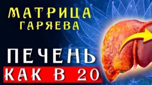Мощное Омоложение Печени ☀️ Матрица Гаряева Восствновление и Регенерация Печени