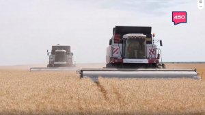 Вести с полей: уборочная кампания в Самарской области