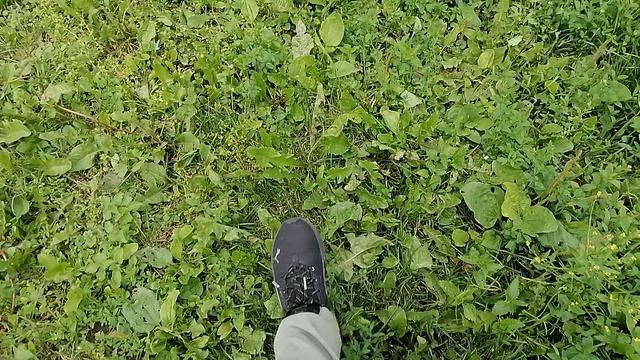 Мои любимые кроссовки для бега PUMA Мои любимые кроссовки для бега PUMA