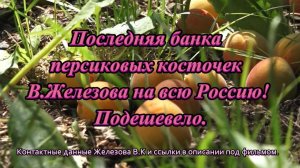 Последняя банка персиковых косточек В.Железова на всю Россию! Подешевело.