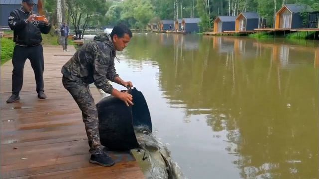 Запуск форели 12.07