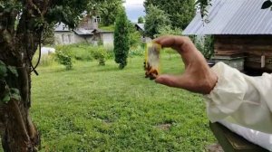 12 июля КАКУЮ МАТКУ ВЫБРАТЬ
