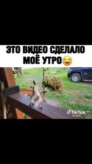 С добрым утром понедельника!!!