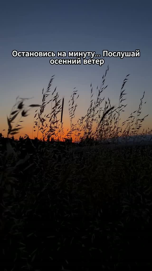 Звуки осеннего ветра и магия заката 🌾🌅 | Музыка для расслабления