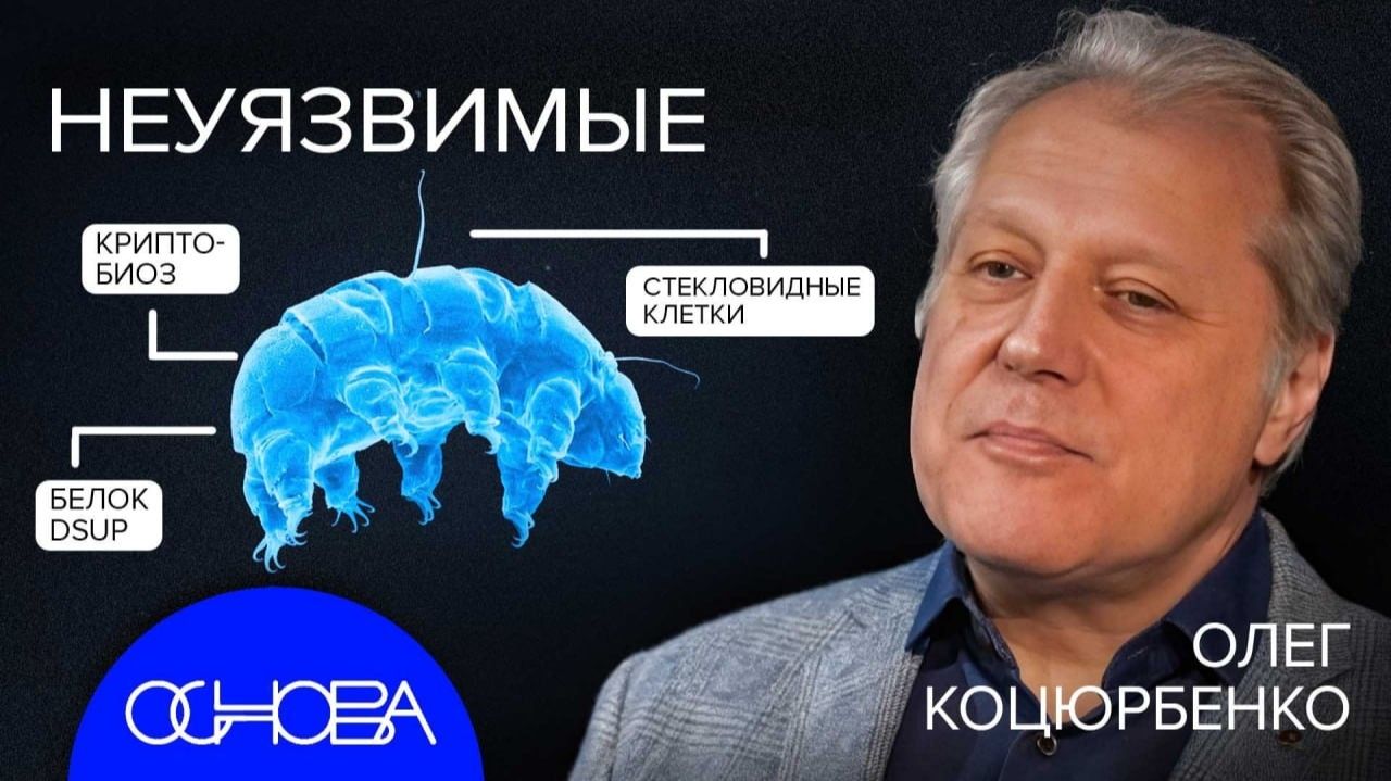 АСТРОБИОЛОГ о ЖИЗНИ ВО ВСЕЛЕННОЙ смотреть онлайн
