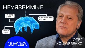 АСТРОБИОЛОГ о ЖИЗНИ ВО ВСЕЛЕННОЙ