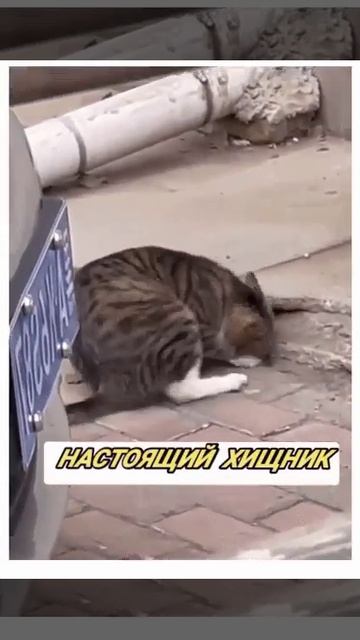 БЫВАЕТ смотреть онлайн