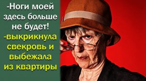 - Ноги моей здесь больше не будет!- выкрикнула свекровь и выбежала из квартиры. Истории из жизни