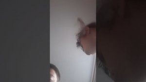 пробуем шоколад OREO