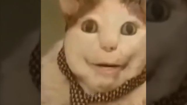 Бу! испугался? смотреть онлайн