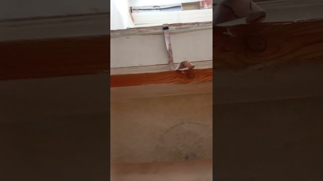 453.mp4 смотреть онлайн