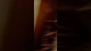 1000011789.mp4 музей часть 2