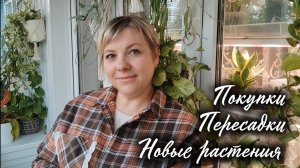 Новые растения. Покупки для них. Пересадка на фитиль