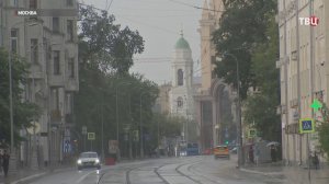 В Петербурге после ливня водители расчищают улицы от упавших деревьев