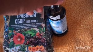 Дивноморское. Первый шопинг на море/ Ну и закат
