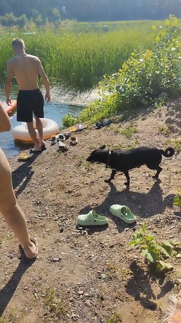 Поездка на озеро. В кафе.