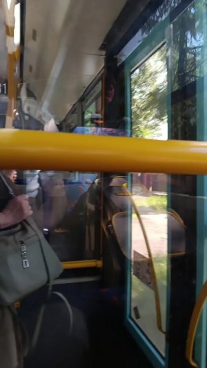Поездка на 252-ом маршруте автобуса до Вокзала города Павловск эфир от 15:08