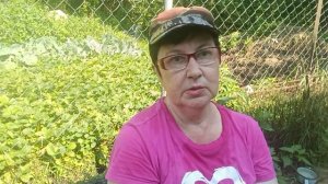 Сколько стоят Пчелы ‼️‼️‼️.На чужой Каравай Рот не РАЗЕВАЙ.