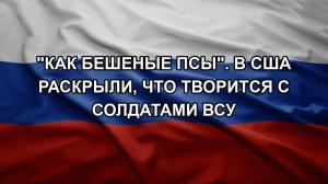 «Как бешеные псы». В США раскрыли, что творится с солдатами ВСУ