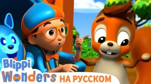 Белки _ НОВАЯ СЕРИЯ _ Изучай этот мир вместе с Блиппи _ Обучающие мультики для детей