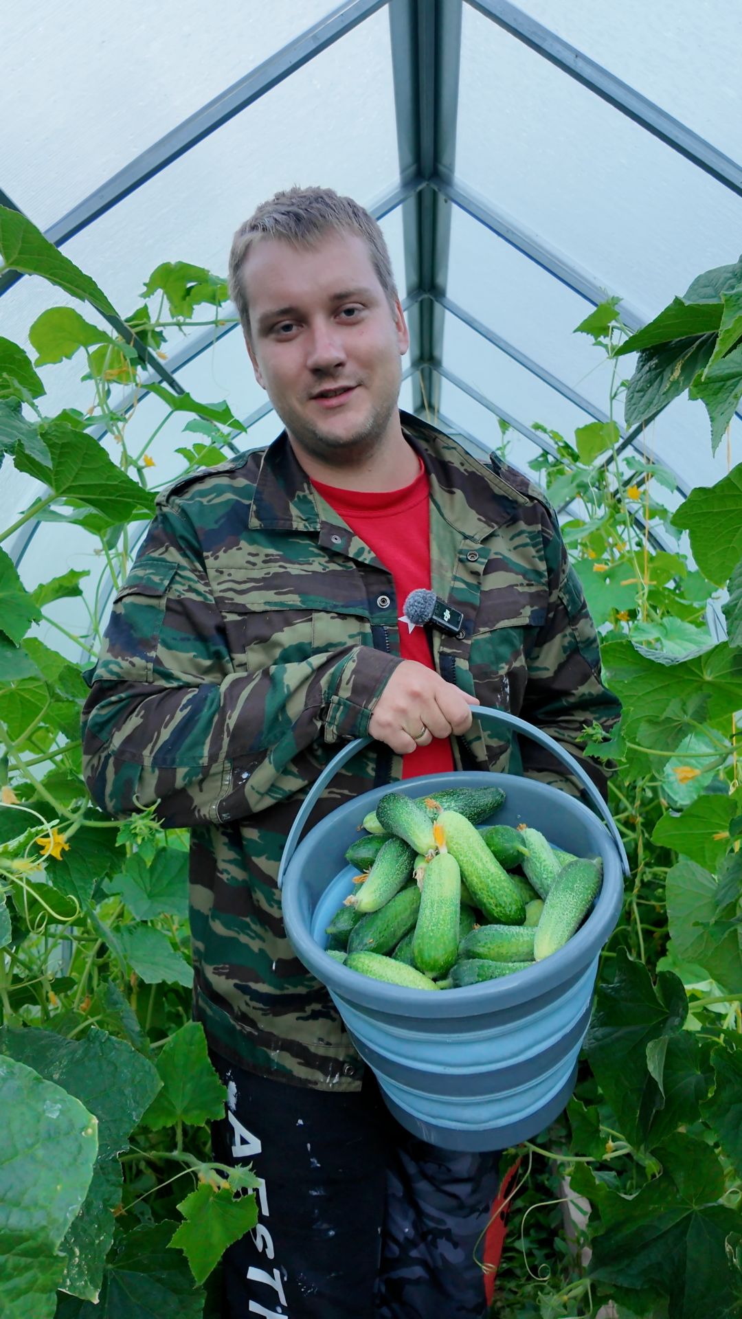Сбор урожая.