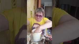 #мои любимые фикусы и амаранта и из пересадка