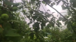 РУТУБОВСКАЯ СКАНДАЛЬКА🙋💃☺️❗ С ПЕЧАЛЬКОЙ 👀К ВАМ ВЫШЛА🚶